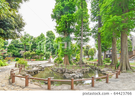敦賀久保公園 64423766