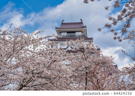 Spring Tsuruga Castle (Wakamatsu Castle), Aizuwakamatsu City, Fukushima Prefecture Spring Tsuruga Castle (Wakamatsu Castle), Aizuwakamatsu City, Fukushima Prefecture 64424150