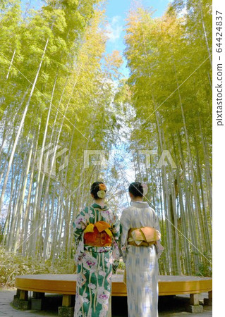 竹林小直徑 竹林小直徑 64424837