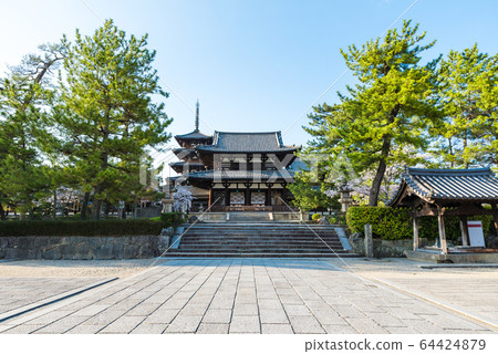 Horyuji Temple precinct scenery Nakamon and five-storied pagoda (Ikaruga Town, Ikoma District, Nara Prefecture) 64424879