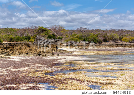 rocky beach in Madagascar, Antsiranana, Diego rocky beach in Madagascar, Antsiranana, Diego 64424918