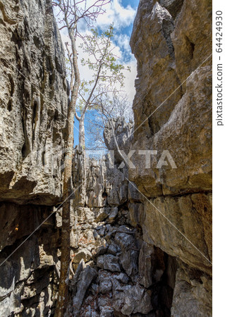 Ankarana Tsingy stones, northern Madagascar 64424930