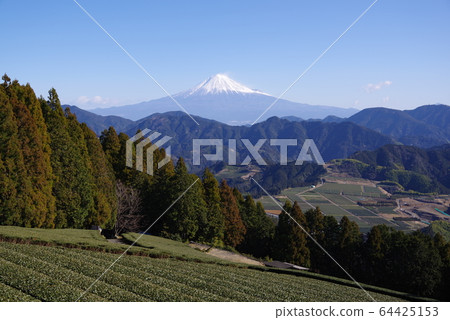 富士山和茶園 富士山和茶園 64425153