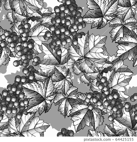 Seamless pattern of grapes. Seamless pattern of grapes. 64425155