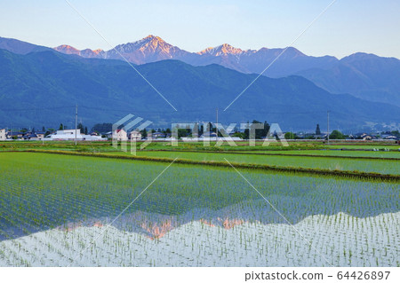 在長野縣安mino野市種植後立即在晨陽和稻田照亮的宗能山 64426897