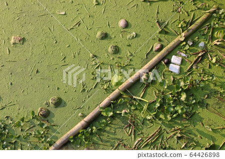 Garbage such as foam boxes, milk boxes, plastic bags, leaf debris are thrown into the river. Which may cause pollution, resulting in unclean air, river water will spoil. Garbage such as foam boxes, milk boxes, plastic bags, leaf debris are thrown into the river. Which may cause pollution, resulting in unclean air, river water will spoil. 64426898