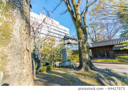 Spring in Japan Gunma Prefecture Takasaki Takasaki Castle Dry tower and cherry blossom landscape Spring in Japan Gunma Prefecture Takasaki Takasaki Castle Dry tower and cherry blossom landscape 64427873
