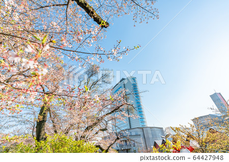 日本高崎市政廳的春天和櫻花景觀 日本高崎市政廳的春天和櫻花景觀 64427948