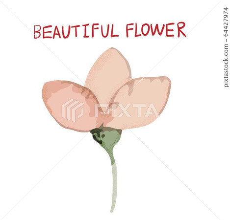 抽象的美麗花,瑪瑙花 抽象的美麗花,瑪瑙花 64427974