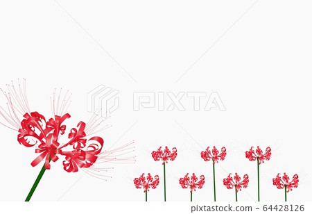Cute red cluster amaryllis, 3D rendering Cute red cluster amaryllis, 3D rendering 64428126