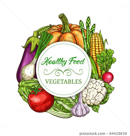 Healthy vegetables and greens sketch banner Healthy vegetables and greens sketch banner 64428639