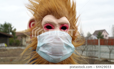 monkey in medical mask outdoors looking scared monkey in medical mask outdoors looking scared 64429033