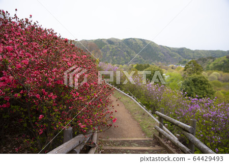 山津愛川公園 64429493