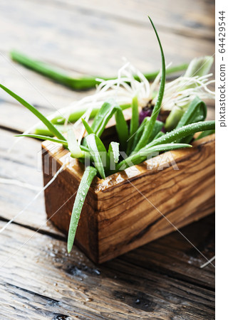 Fresh spring green onion Fresh spring green onion 64429544