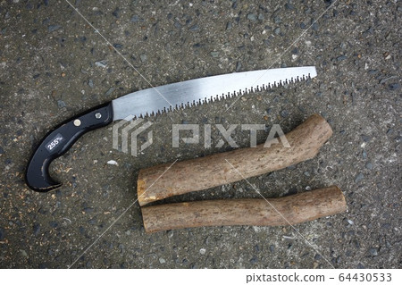 切開蜜蜂杜鵑花樹幹,看到 切開蜜蜂杜鵑花樹幹,看到 64430533