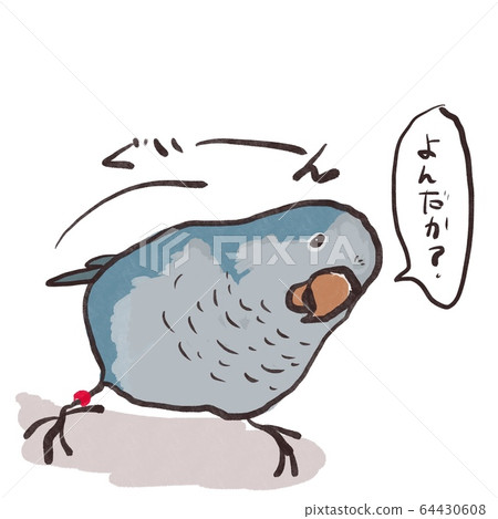 An Okinawan Parakeet staring at its head 64430608
