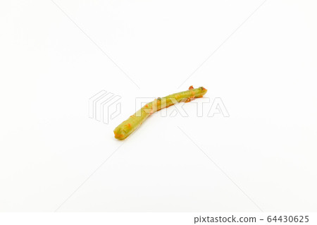 Yorumkimuchi Yorumkimuchi 64430625