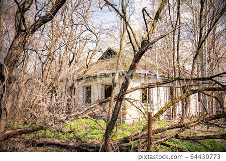 abandoned house in destroyed village of Kopachi Chernobyl zone, Ukraine 64430773