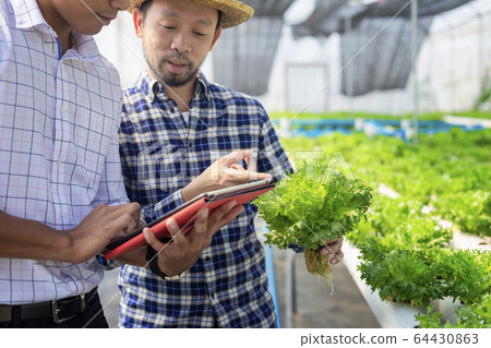 Vegetable farm owners and vegetable quality 64430863