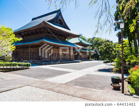 Kamakura Kenchoji temple grounds 64431481