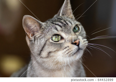 有興趣的深 有興趣的深 64432899