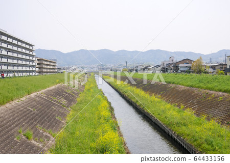 京都市山形河的春天風景 六重三桃山南口 照片素材 圖片 圖庫