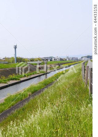 京都市山形河的春天風景 六重三桃山南口 照片素材 圖片 圖庫