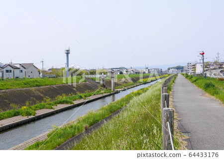 京都市山形河的春天風景（六重三桃山南口） 64433176