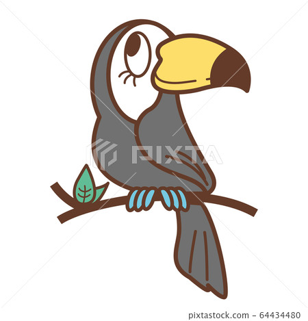 bird  64434480