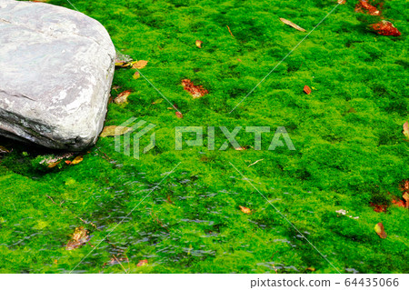 Kuribayashi Park Kuribayashi Park 64435066