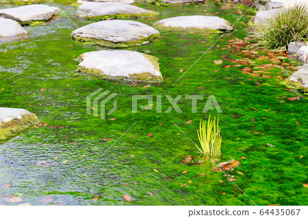 Kuribayashi公園 64435067