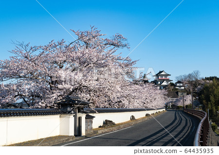 Wakuya Castle A row of cherry blossom trees and a castle Wakuya Castle A row of cherry blossom trees and a castle 64435935