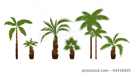 Palm trees flat Palm trees flat 64436895