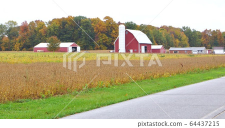 Scenery of a cornfield in Indiana, USA Scenery of a cornfield in Indiana, USA 64437215