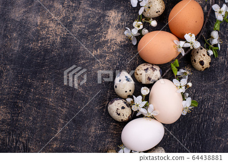 Chicken and quail eggs with blooming branch 64438881