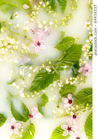 Flowers and leaves in white water background. Flowers and leaves in white water background. 64439337