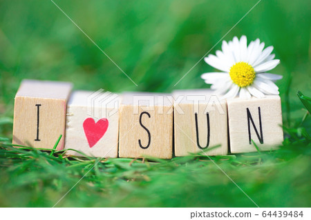 Wooden cubes with the words I Love Sun in bright green grass and a white Daisy, summer concept beautiful nature background 64439484