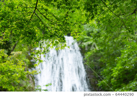 Marugami Waterfall Green, Ogano-cho, Chichibu-gun, Saitama (August) Marugami Waterfall Green, Ogano-cho, Chichibu-gun, Saitama (August) 64440290