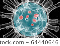 Close up Coronavirus COVID-19 inside Xray 64440646
