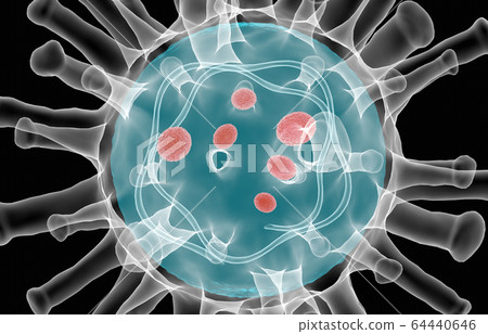 Close up Coronavirus COVID-19 inside Xray Close up Coronavirus COVID-19 inside Xray 64440646