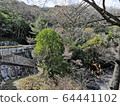 新鮮的綠色山地和山間小道 64441102