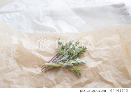 Wormwood young leaves Wormwood young leaves 64441943