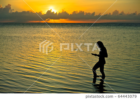 siluet of romantic girl reading a book during sunset siluet of romantic girl reading a book during sunset 64443079