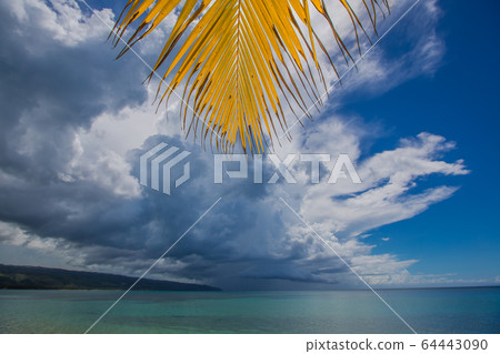 palm trees over tropical lagoon with wild beach palm trees over tropical lagoon with wild beach 64443090