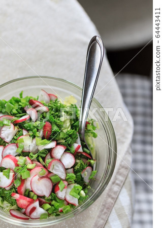 Fresh spring wholesome natural salad of radish vegetables, seasoned shallots, iceberg, romaine 64443411
