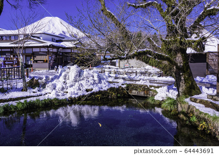 (Yamanashi Prefecture) Spring snow Oshino Hakkai Mt. Fuji 64443691