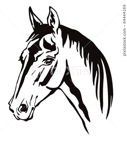 Vector decorative horse 11 64444169