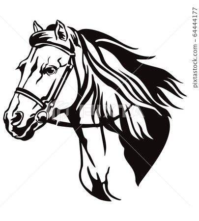 Vector decorative horse 9 64444177