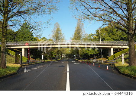 Pedestrian bridge on Metasequoia Street in Tama City, Tokyo 64444316