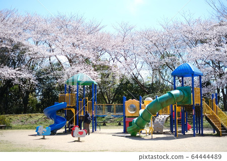 Play equipment and cherry blossoms Play equipment and cherry blossoms 64444489